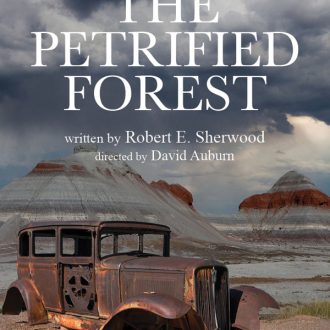 The Petrified Forest Poster